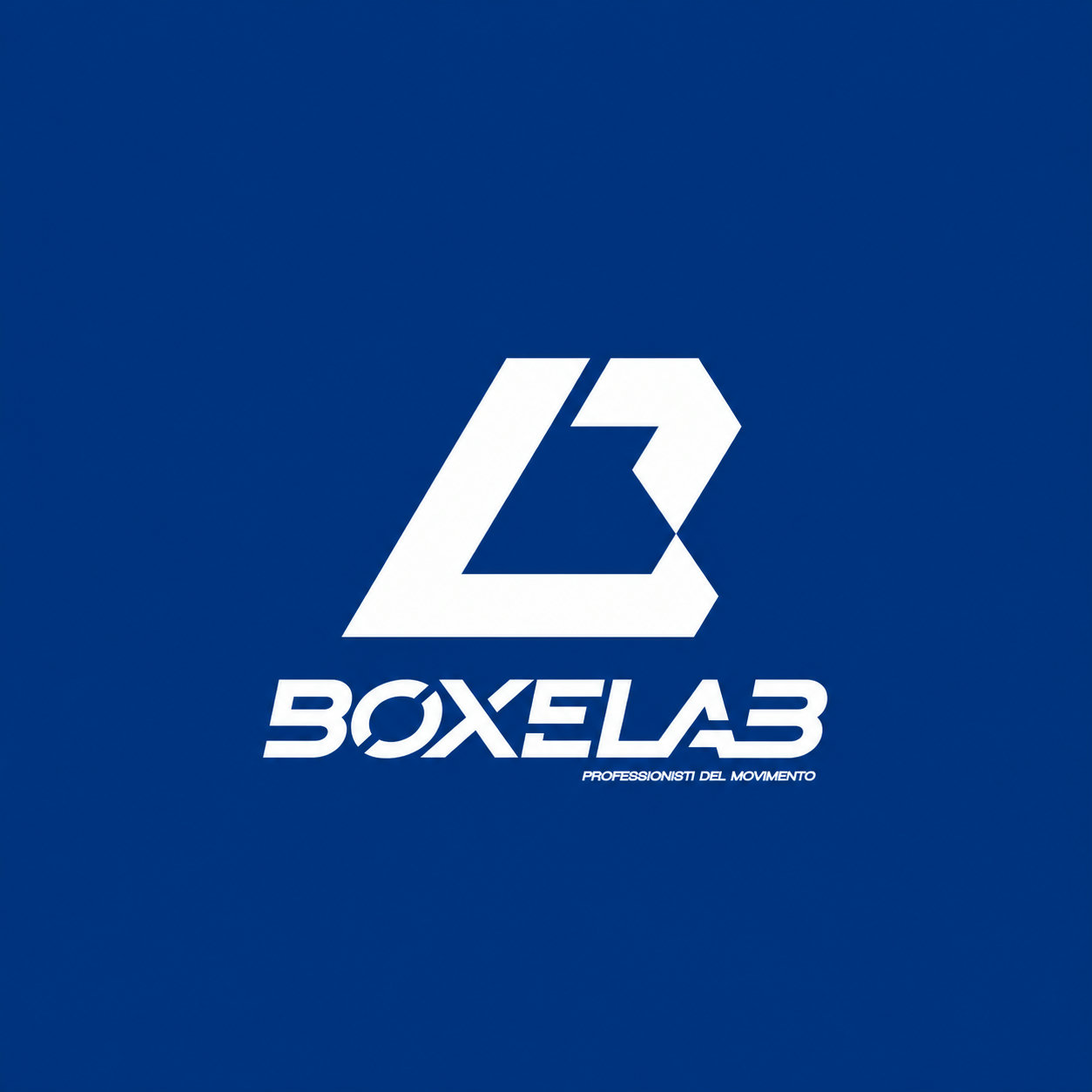 Il significato del logo BoxeLab: storia, identità e movimento.